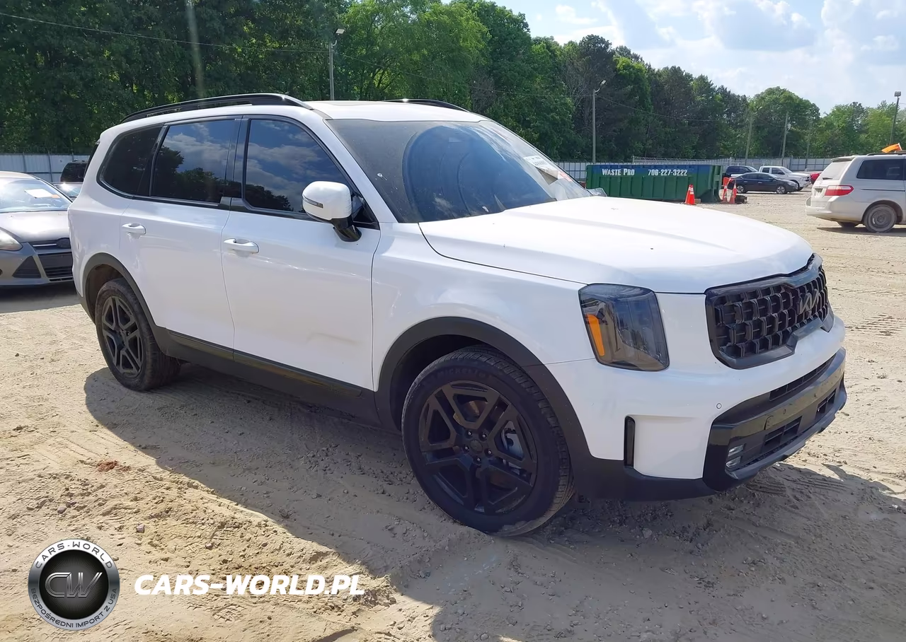 2025 Kia Telluride Sx X-Line VIN:5XYP5DGC3SG593907 - 1