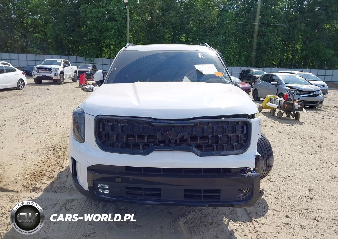 2025 Kia Telluride Sx X-Line VIN:5XYP5DGC3SG593907 - 12
