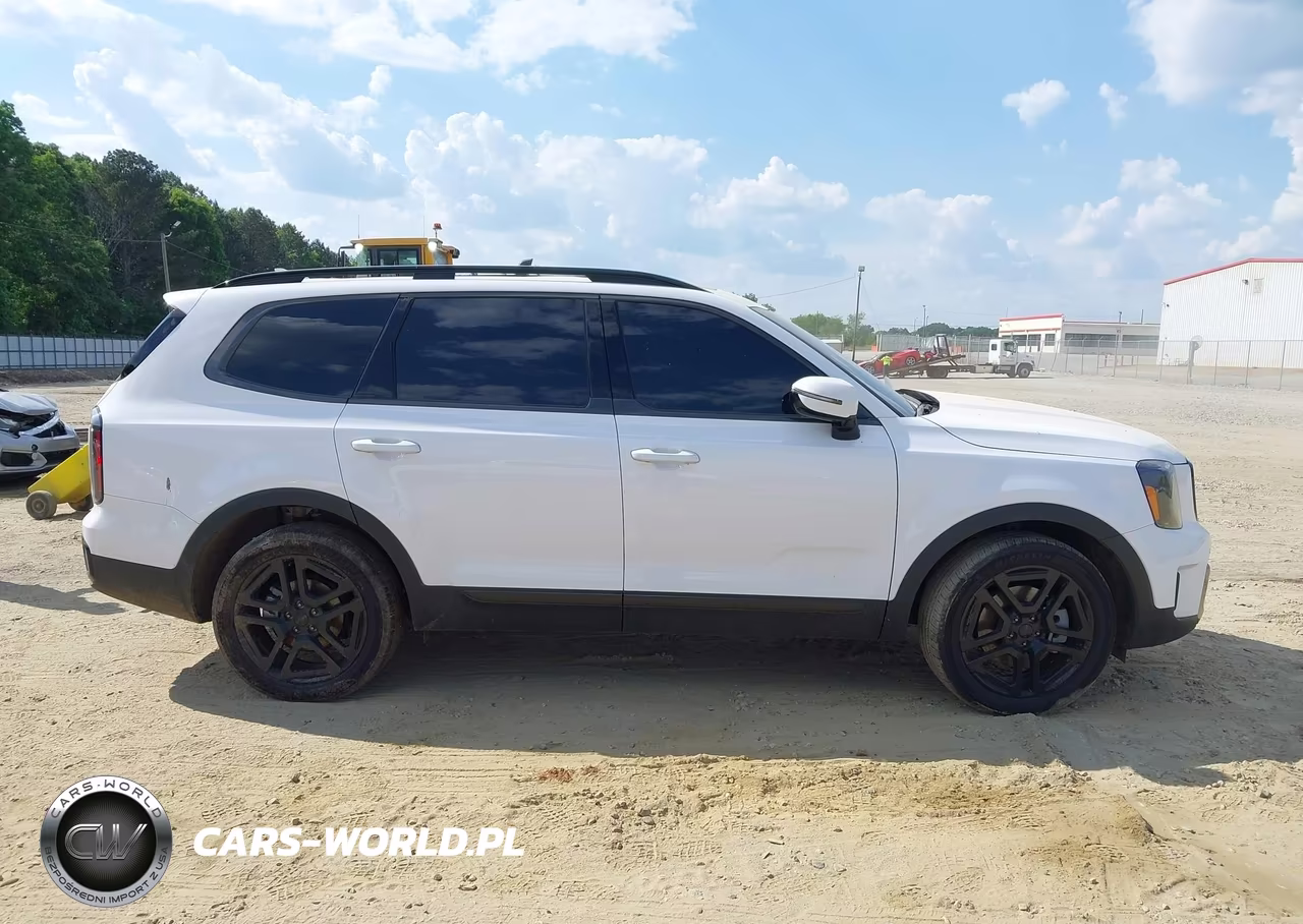 2025 Kia Telluride Sx X-Line VIN:5XYP5DGC3SG593907 - 13