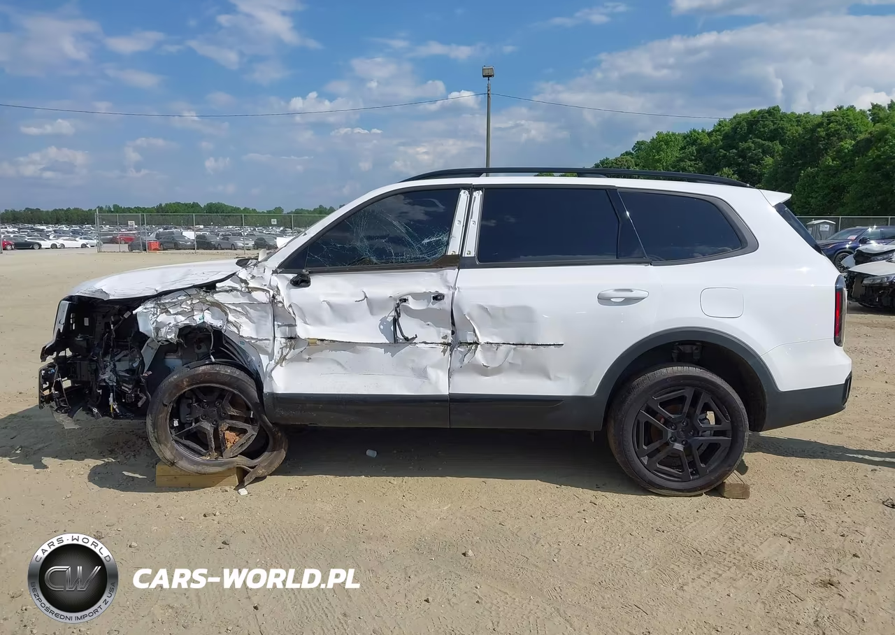 2025 Kia Telluride Sx X-Line VIN:5XYP5DGC3SG593907 - 14