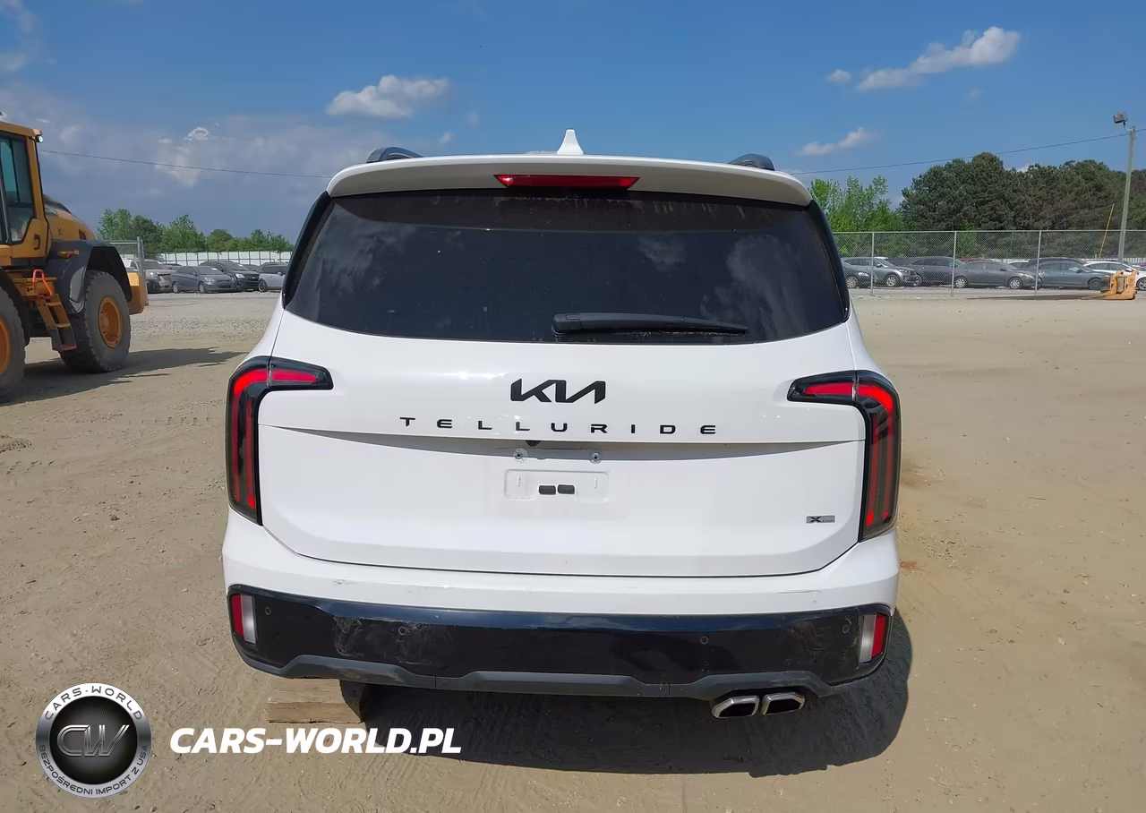 2025 Kia Telluride Sx X-Line VIN:5XYP5DGC3SG593907 - 16