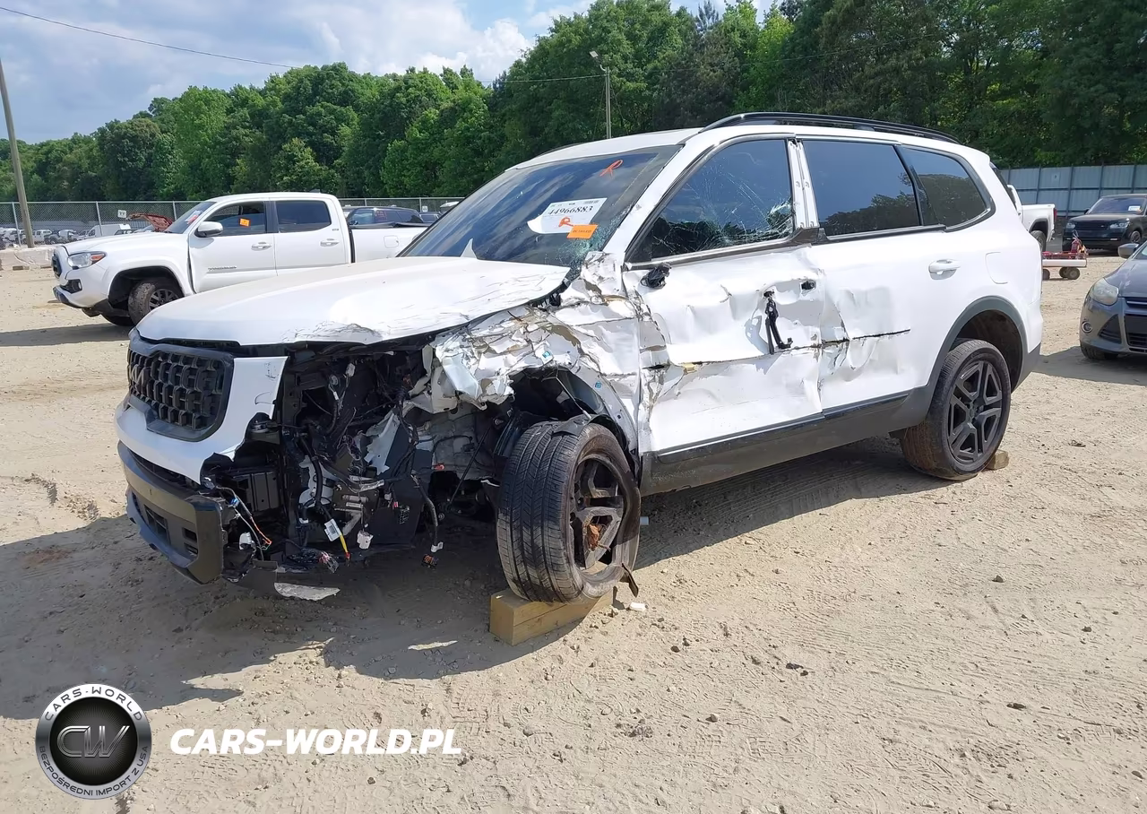 2025 Kia Telluride Sx X-Line VIN:5XYP5DGC3SG593907 - 2