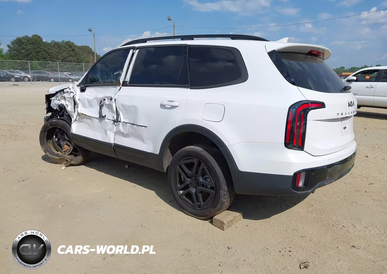 2025 Kia Telluride Sx X-Line VIN:5XYP5DGC3SG593907 - 3