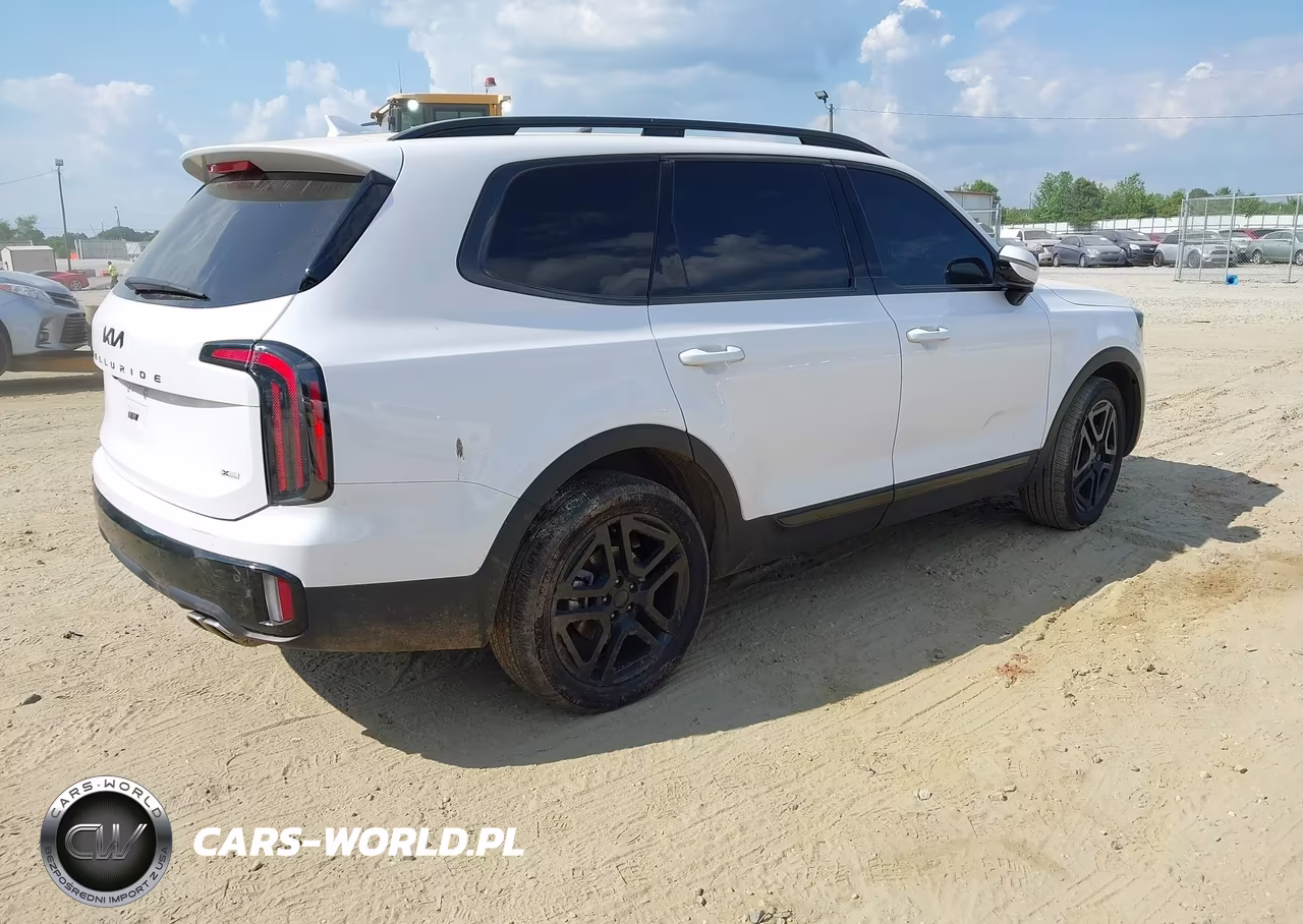 2025 Kia Telluride Sx X-Line VIN:5XYP5DGC3SG593907 - 4