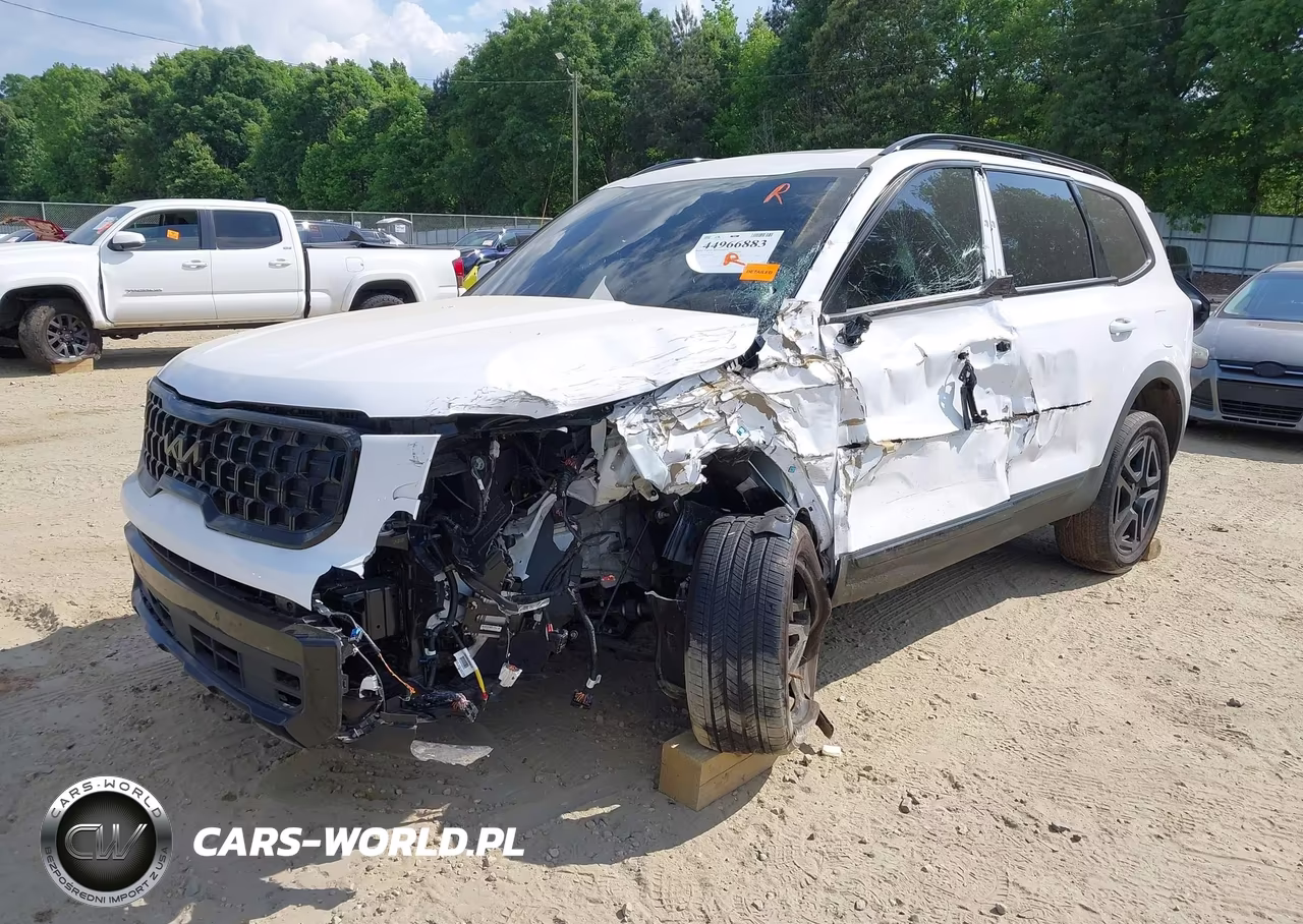 2025 Kia Telluride Sx X-Line VIN:5XYP5DGC3SG593907 - 6