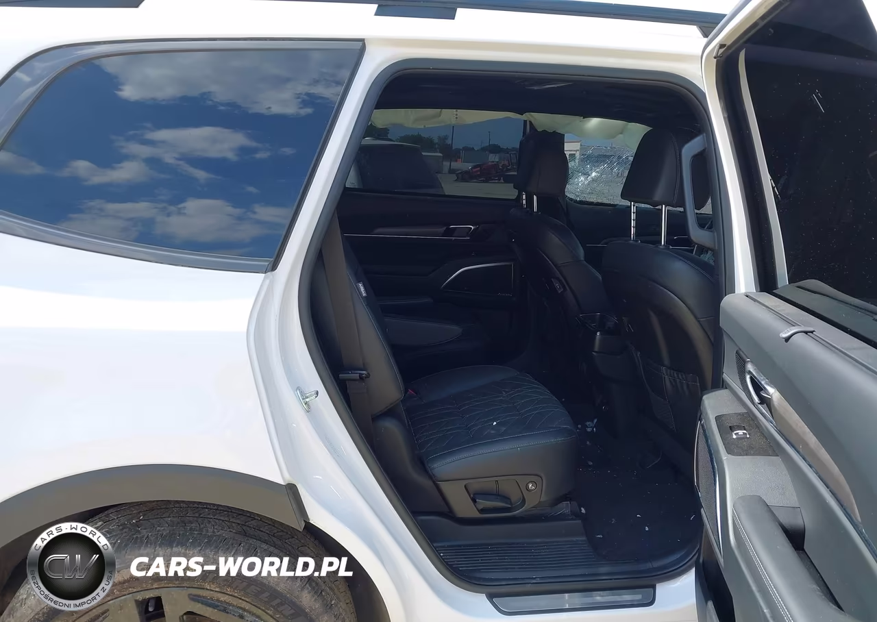 2025 Kia Telluride Sx X-Line VIN:5XYP5DGC3SG593907 - 8