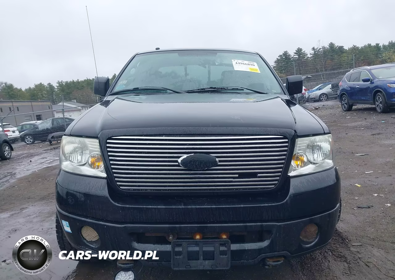 2006 Ford F-150 Stx-Xl-Xlt VIN:1FTRX14W06FA34713 - 12