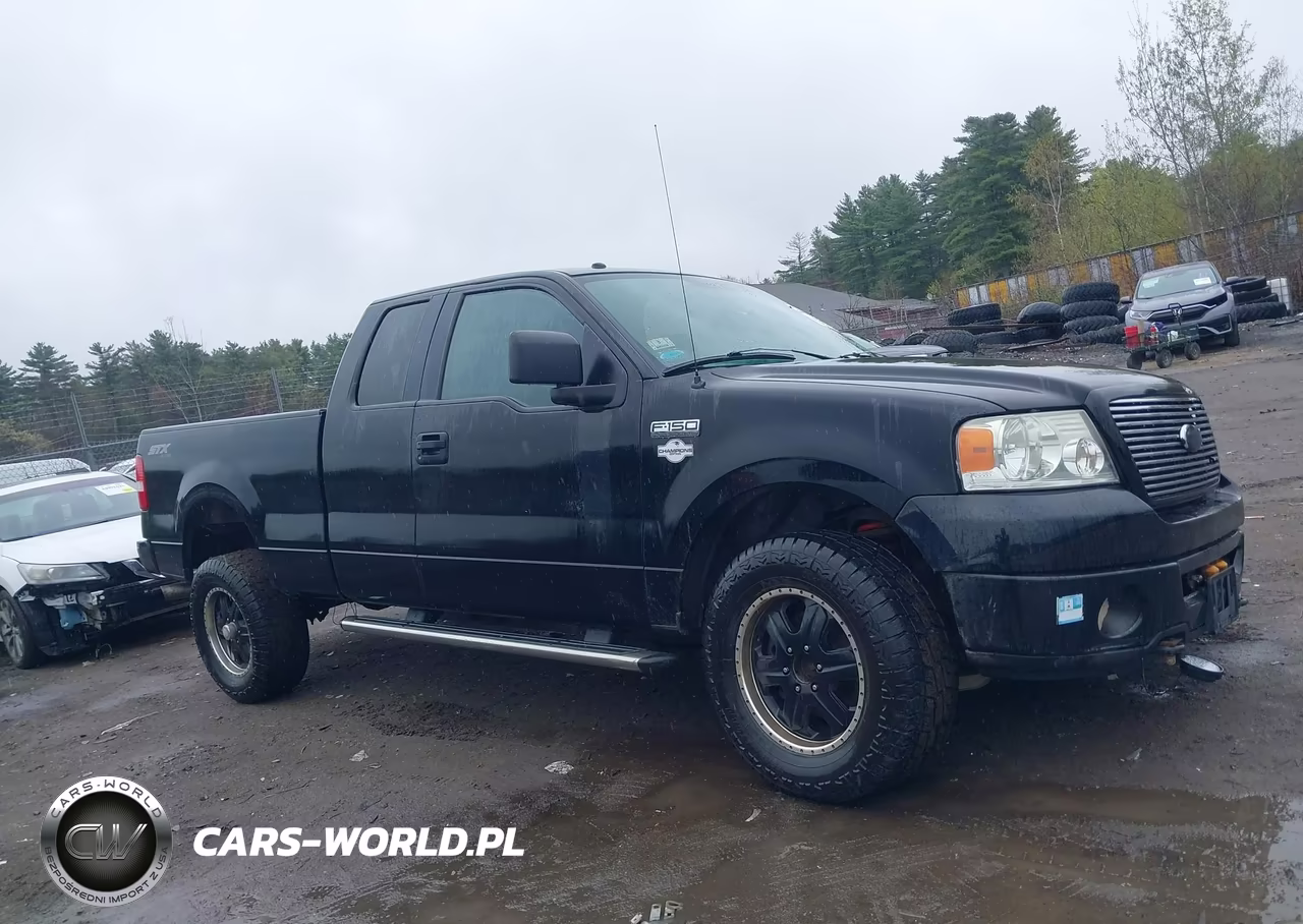 2006 Ford F-150 Stx-Xl-Xlt VIN:1FTRX14W06FA34713 - 13