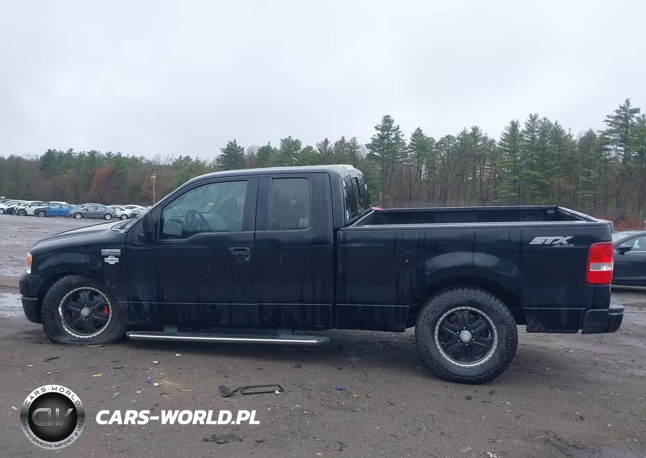 2006 Ford F-150 Stx-Xl-Xlt VIN:1FTRX14W06FA34713 - 14