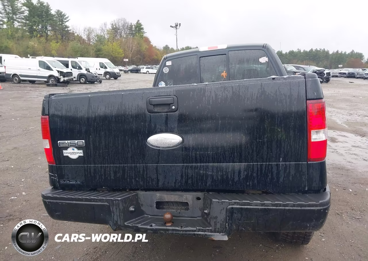2006 Ford F-150 Stx-Xl-Xlt VIN:1FTRX14W06FA34713 - 16