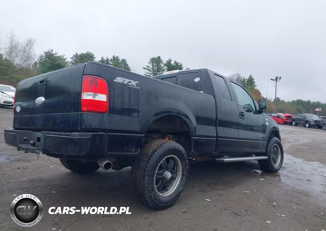 2006 Ford F-150 Stx-Xl-Xlt VIN:1FTRX14W06FA34713 - 4