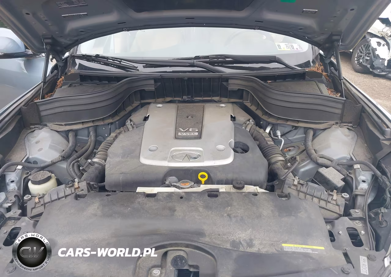 2016 Infiniti Qx50 VIN:JN1BJ0RR5GM260505 - 10