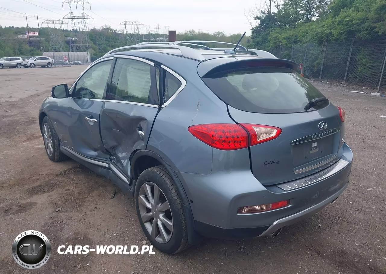 2016 Infiniti Qx50 VIN:JN1BJ0RR5GM260505 - 3