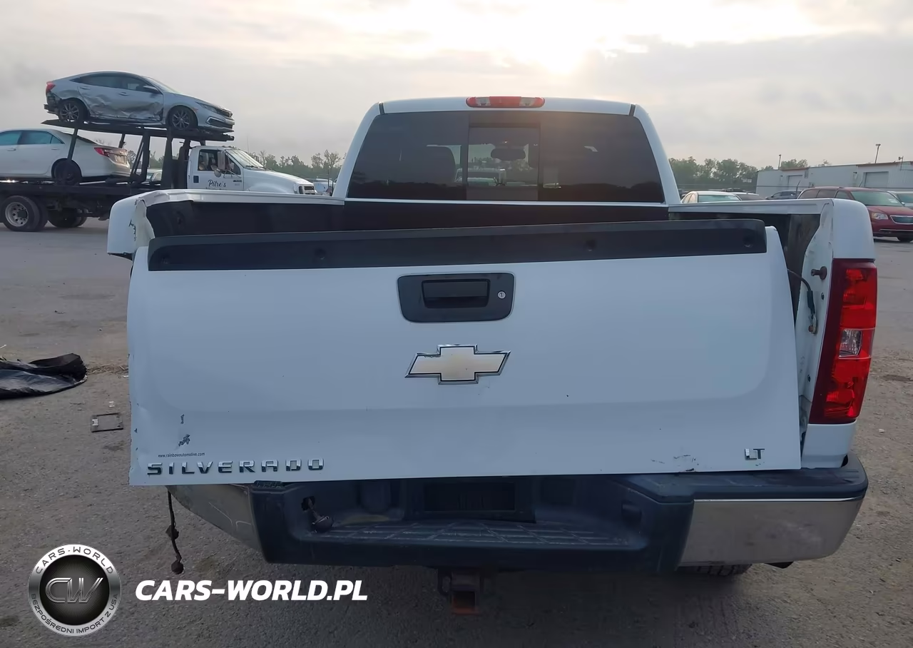 2009 Chevrolet Silverado 1500 Lt VIN:2GCEK29J191108765 - 16