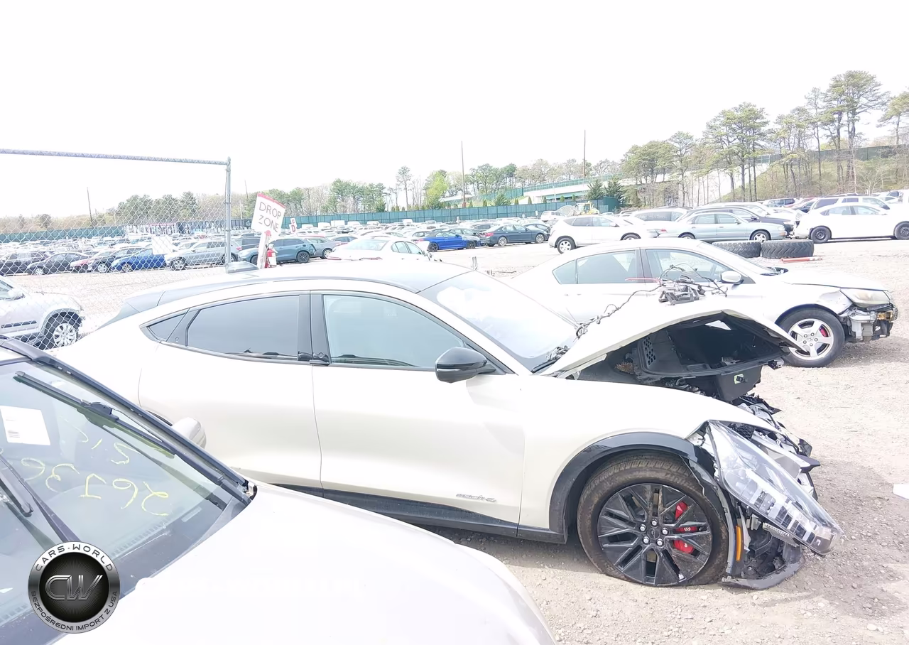 2025 Ford Mustang Mach-E Premium VIN:3FMTK3S51SMA44649 - 13
