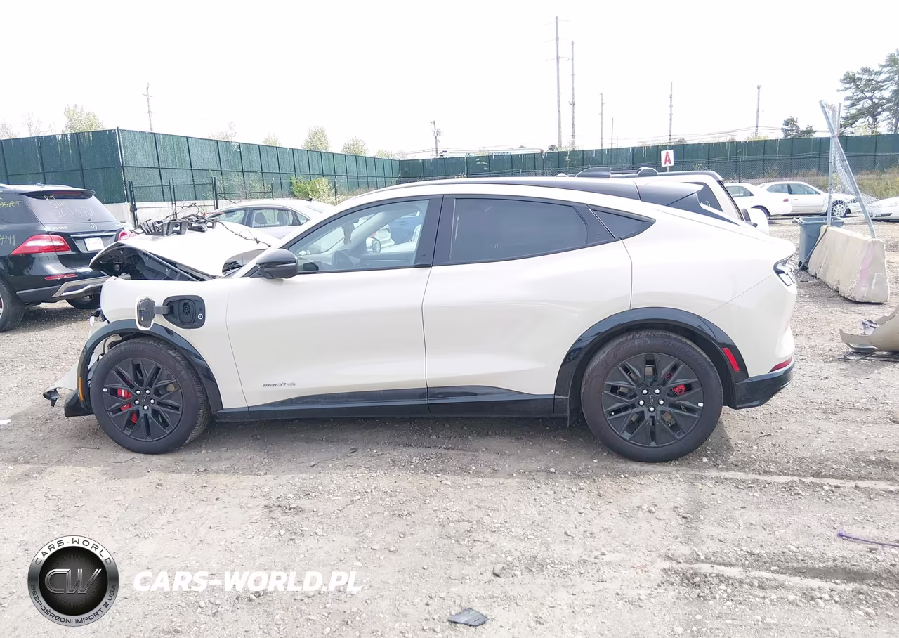 2025 Ford Mustang Mach-E Premium VIN:3FMTK3S51SMA44649 - 14