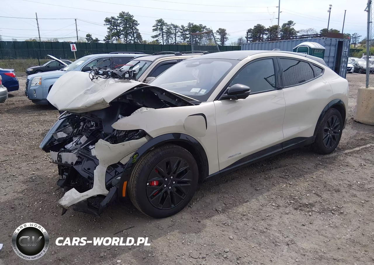 2025 Ford Mustang Mach-E Premium VIN:3FMTK3S51SMA44649 - 2