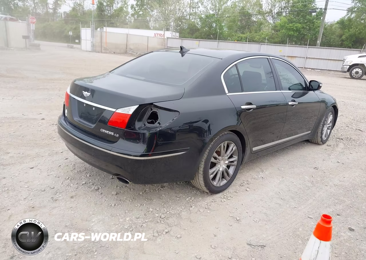 2010 Hyundai Genesis 4.6 VIN:KMHGC4DFXAU072275 - 4