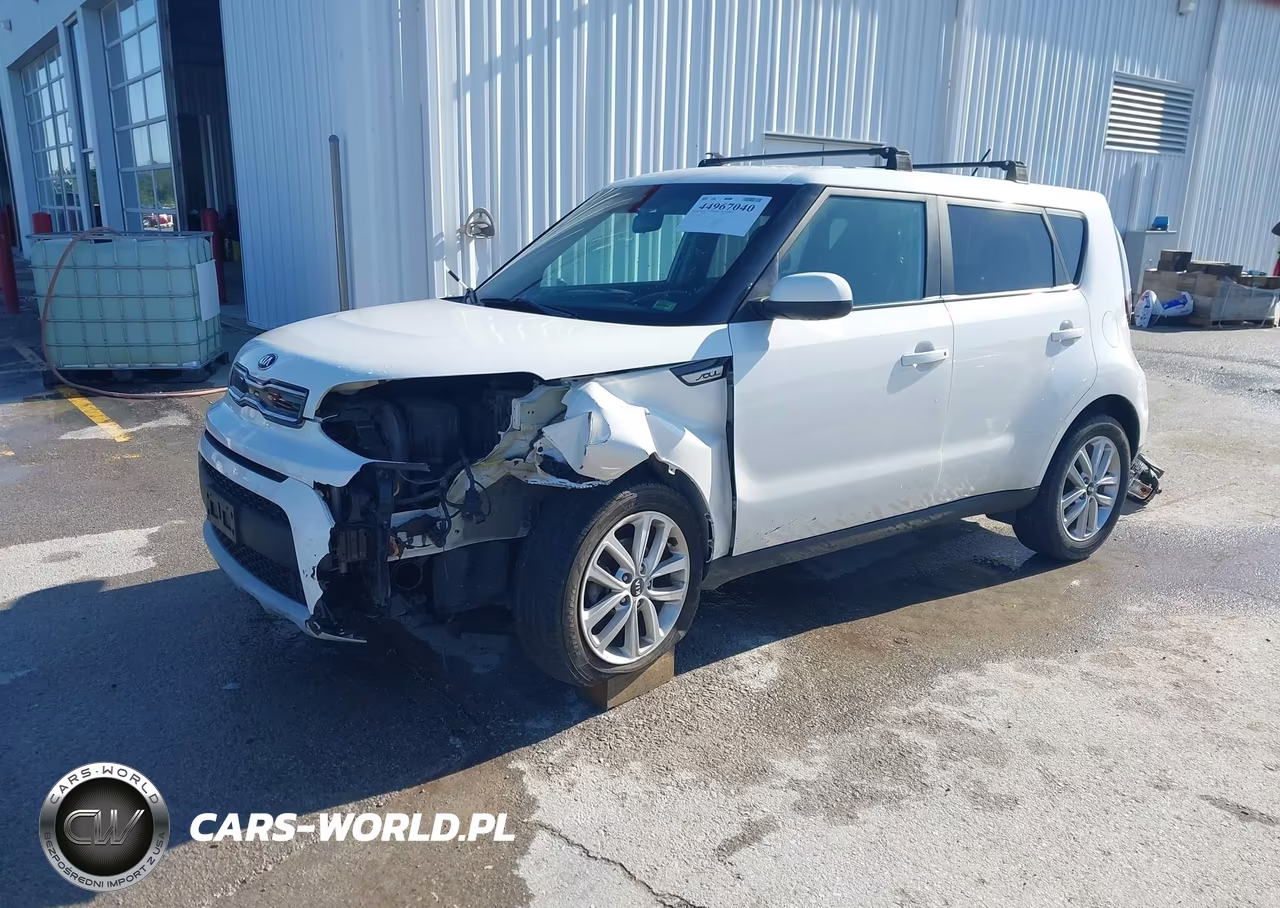 2019 Kia Soul + VIN:KNDJP3A57K7677116 - 2