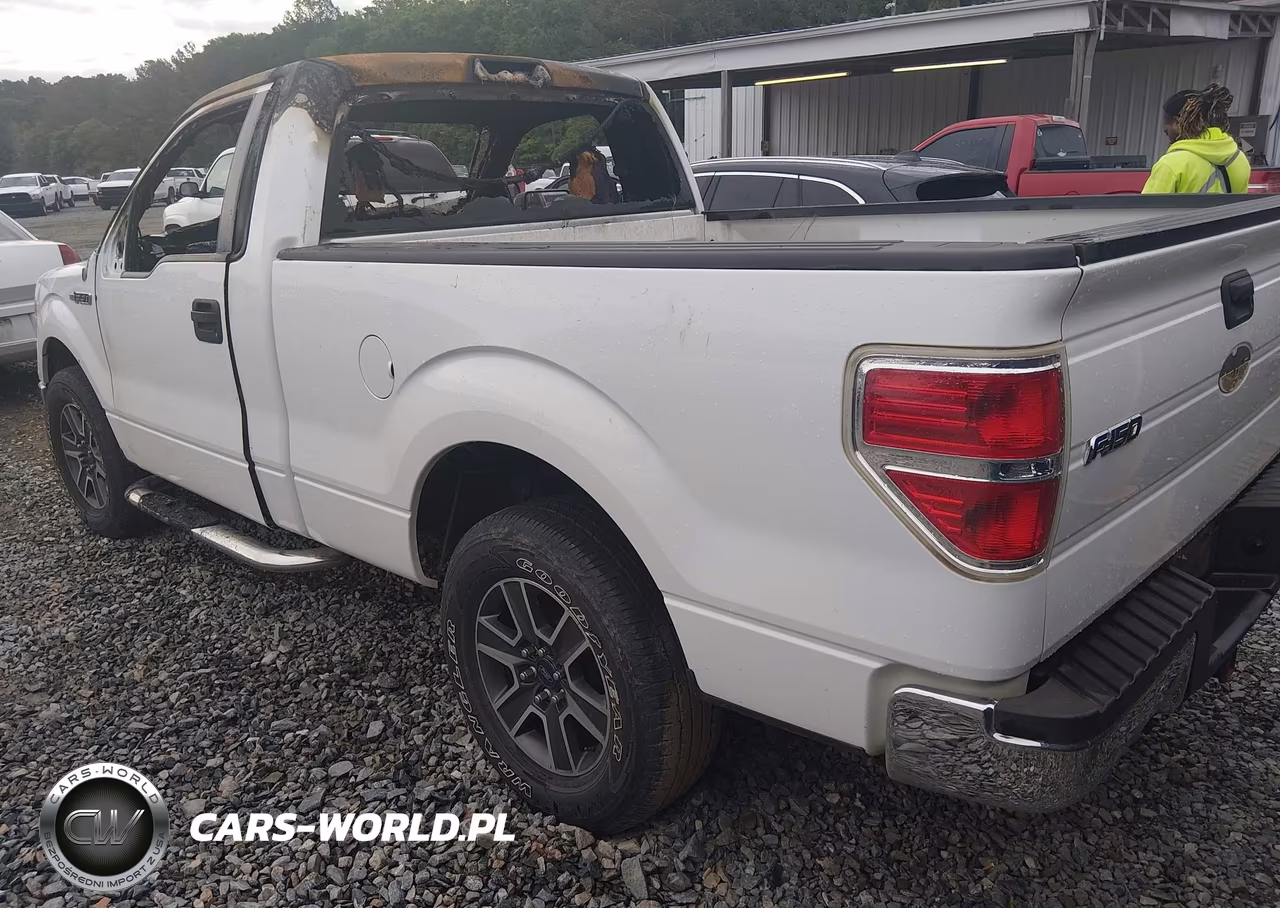 2009 Ford F-150 Stx-Xl-Xlt VIN:1FTRF12W39KC82214 - 3