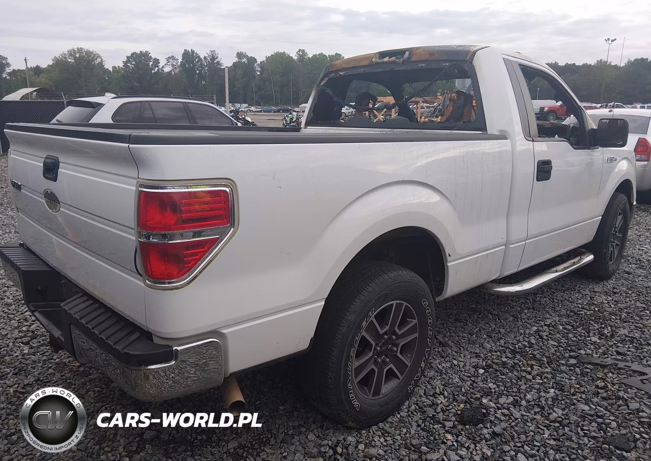 2009 Ford F-150 Stx-Xl-Xlt VIN:1FTRF12W39KC82214 - 4