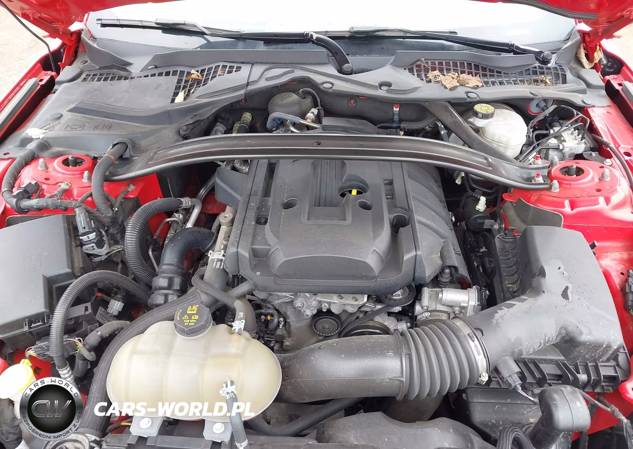 2018 Ford Mustang Ecoboost VIN:1FA6P8TH3J5162737 - 10