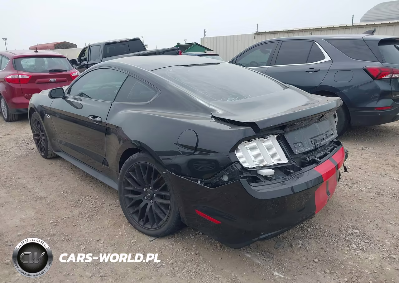 2017 Ford Mustang Gt VIN:1FA6P8CF5H5322805 - 3