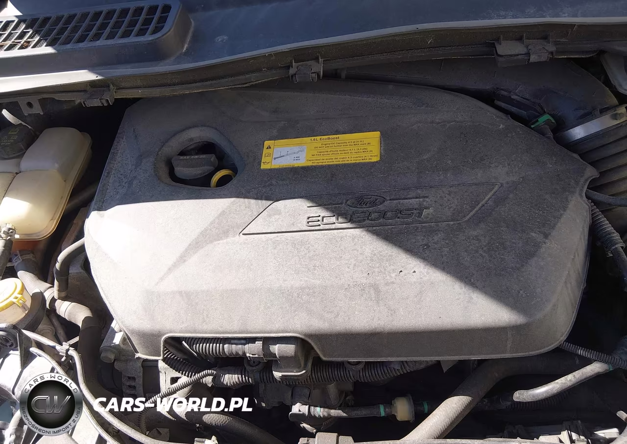 2016 Ford Escape Se VIN:1FMCU9GX6GUC48454 - 10