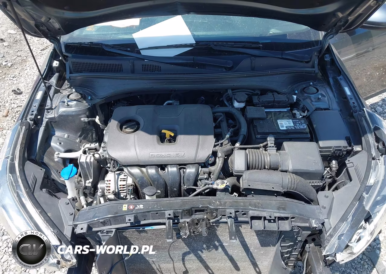 2021 Kia Forte Fe VIN:3KPF24AD3ME315160 - 10