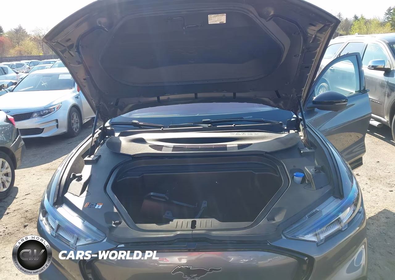 2021 Ford Mustang Mach-E Premium VIN:3FMTK3SS0MMA08640 - 10