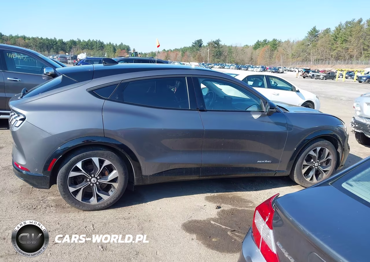 2021 Ford Mustang Mach-E Premium VIN:3FMTK3SS0MMA08640 - 13