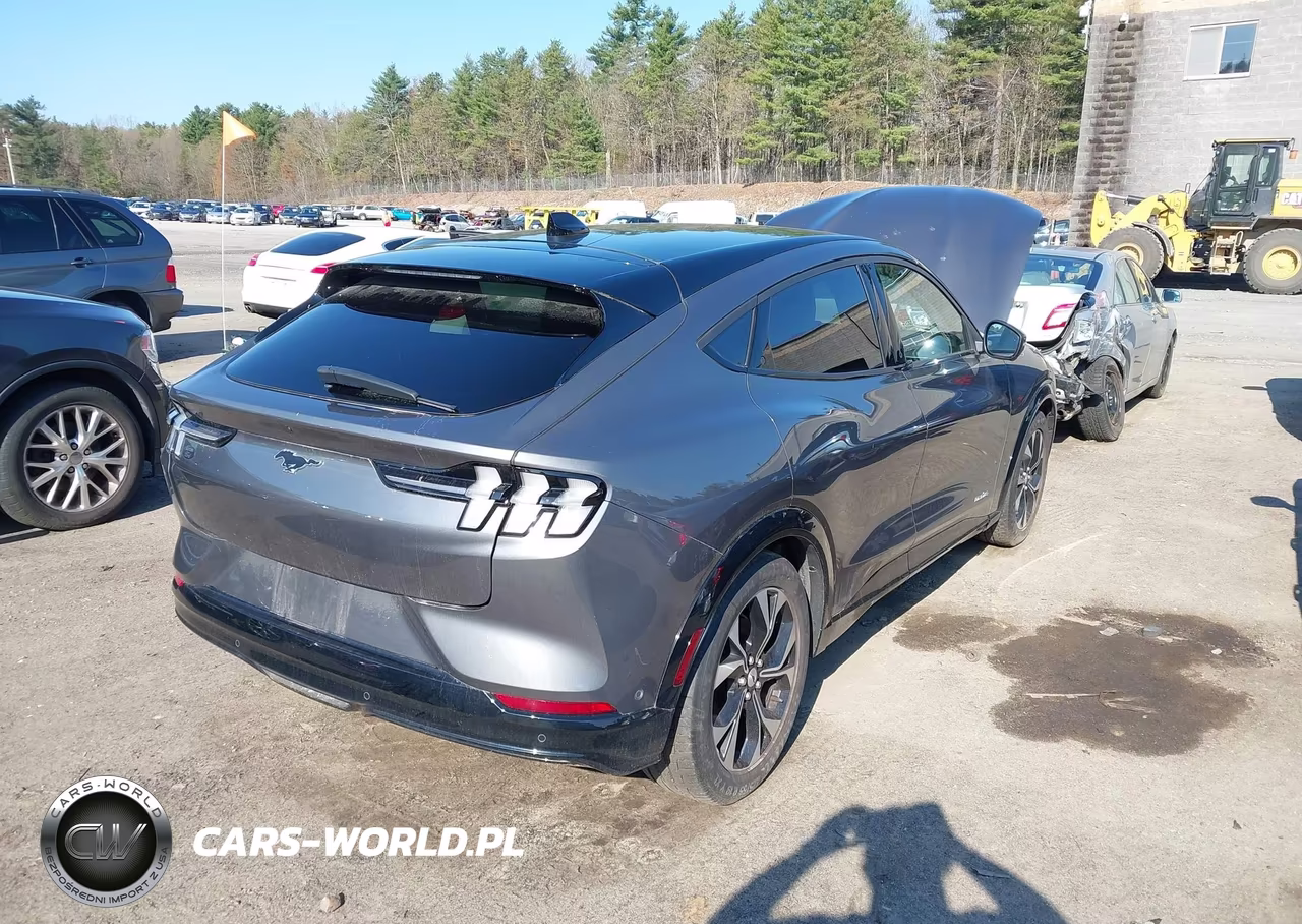 2021 Ford Mustang Mach-E Premium VIN:3FMTK3SS0MMA08640 - 6