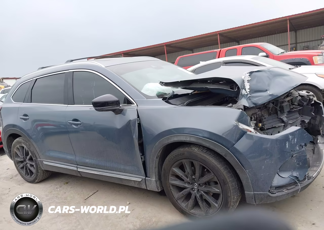 2021 Mazda Cx-9 Carbon Edition VIN:JM3TCADY4M0503666 - 14
