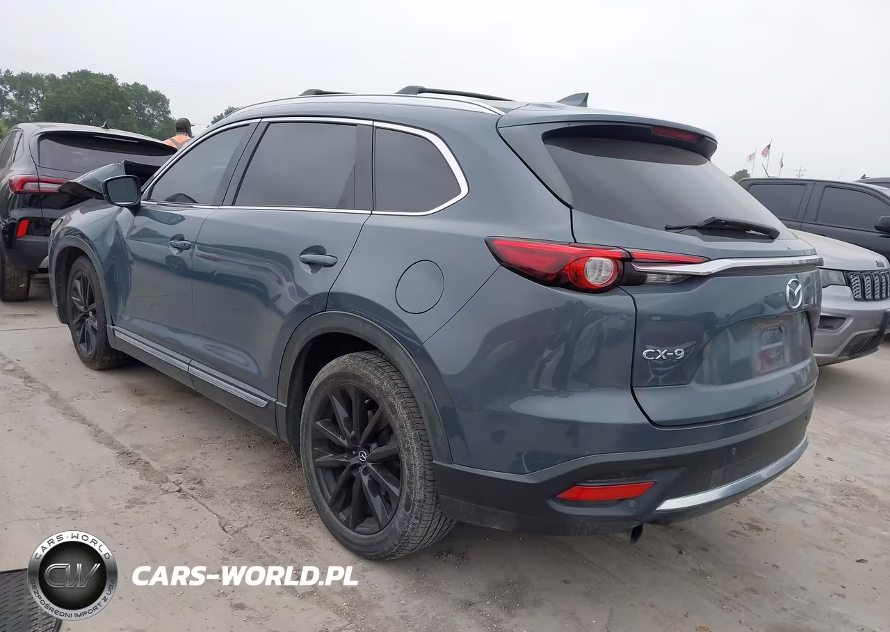 2021 Mazda Cx-9 Carbon Edition VIN:JM3TCADY4M0503666 - 3