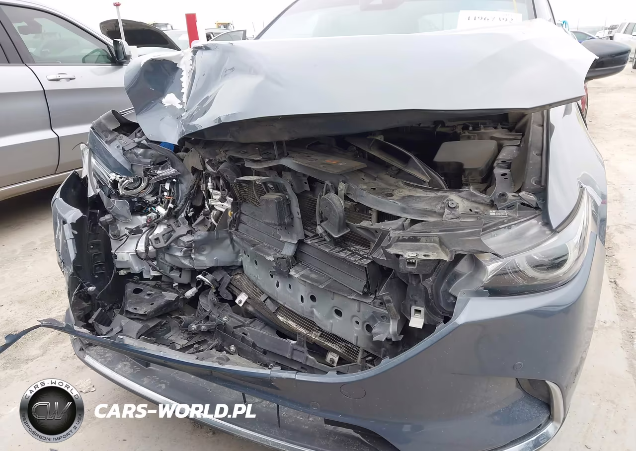 2021 Mazda Cx-9 Carbon Edition VIN:JM3TCADY4M0503666 - 6