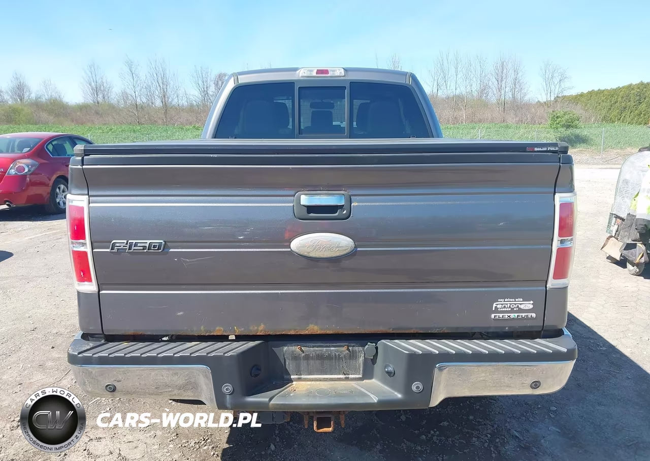 2011 Ford F-150 Xlt VIN:1FTFX1EF2BFC25030 - 16