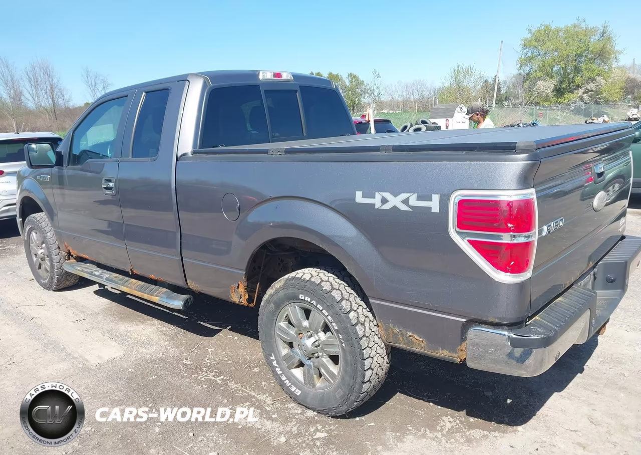 2011 Ford F-150 Xlt VIN:1FTFX1EF2BFC25030 - 3