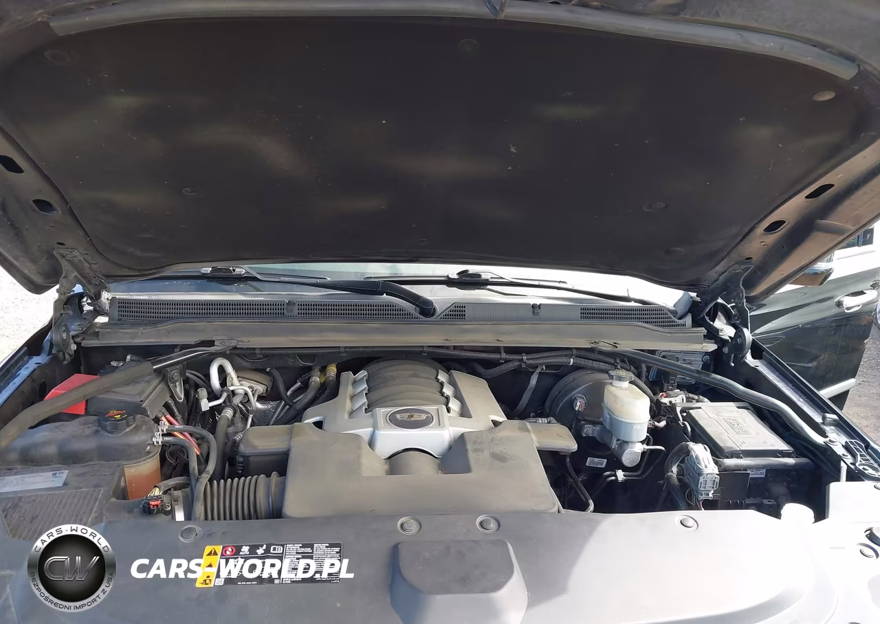 2019 Cadillac Escalade Premium Luxury VIN:1GYS4CKJ5KR295240 - 10