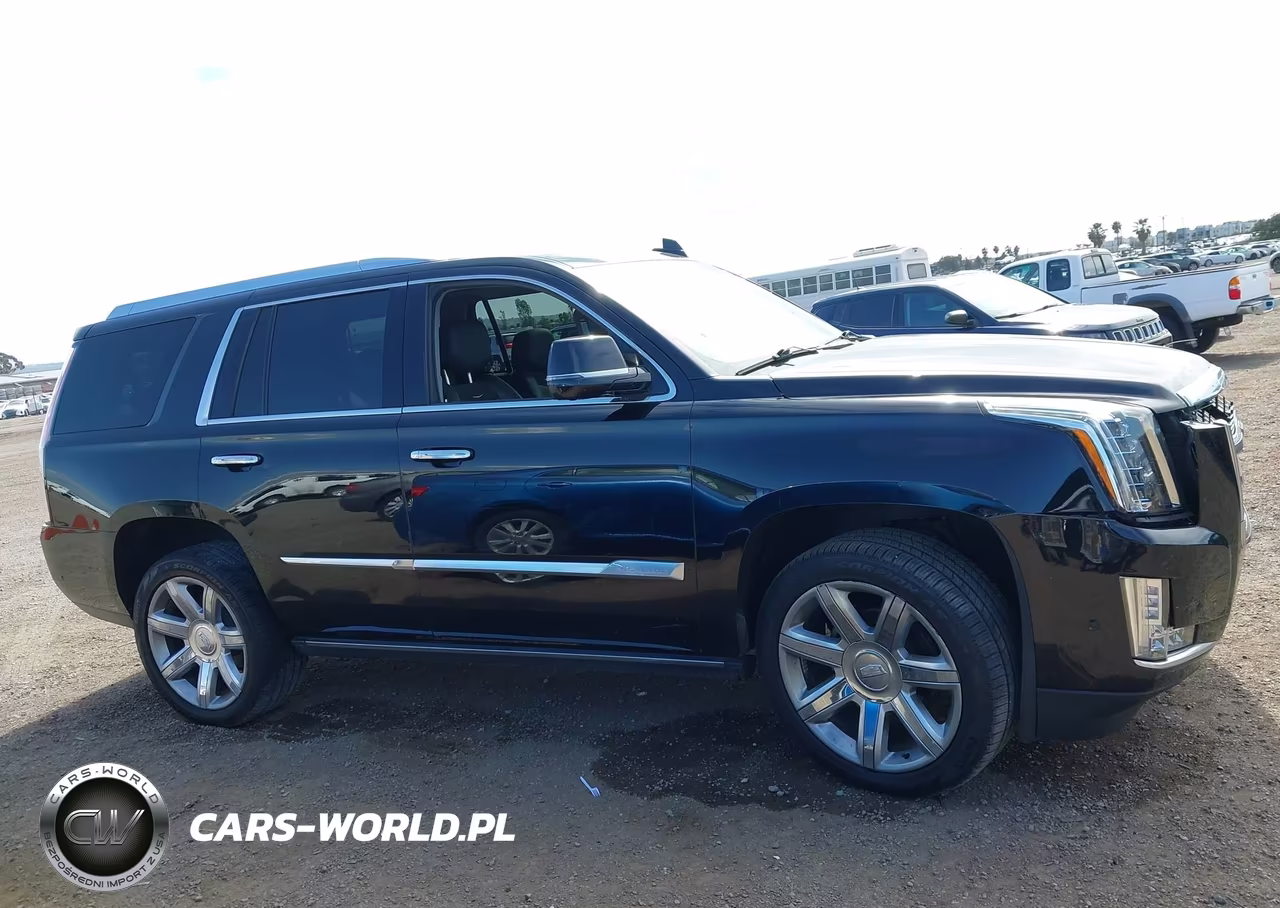 2019 Cadillac Escalade Premium Luxury VIN:1GYS4CKJ5KR295240 - 13