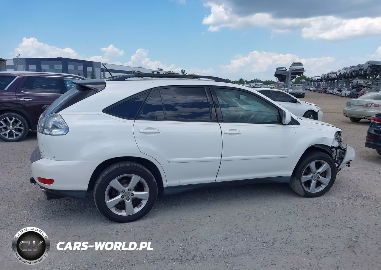 2004 Lexus Rx 330 VIN:JTJGA31U040004910 - 13