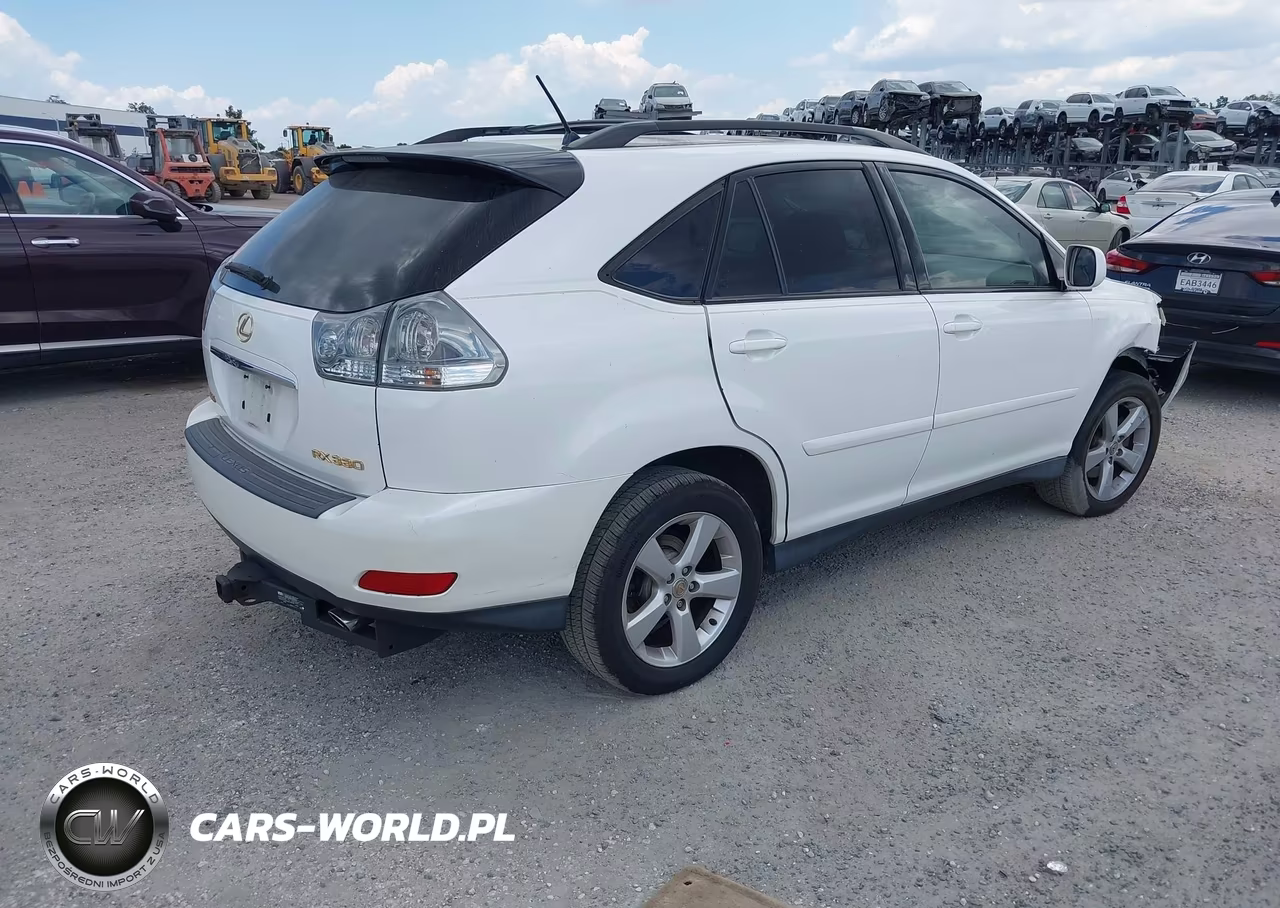2004 Lexus Rx 330 VIN:JTJGA31U040004910 - 4