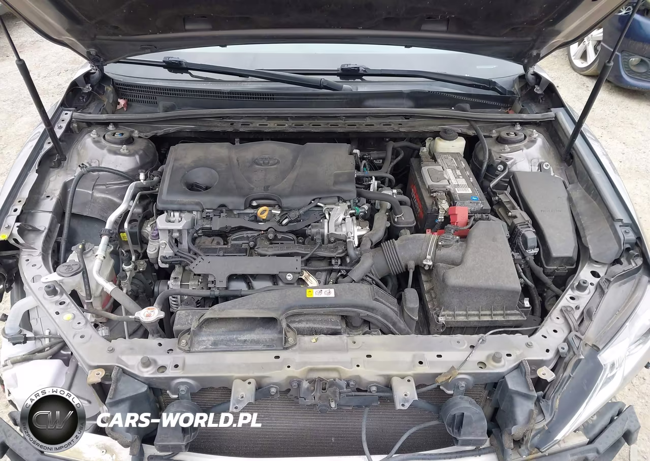 2018 Toyota Camry Se VIN:4T1B11HK1JU509568 - 10