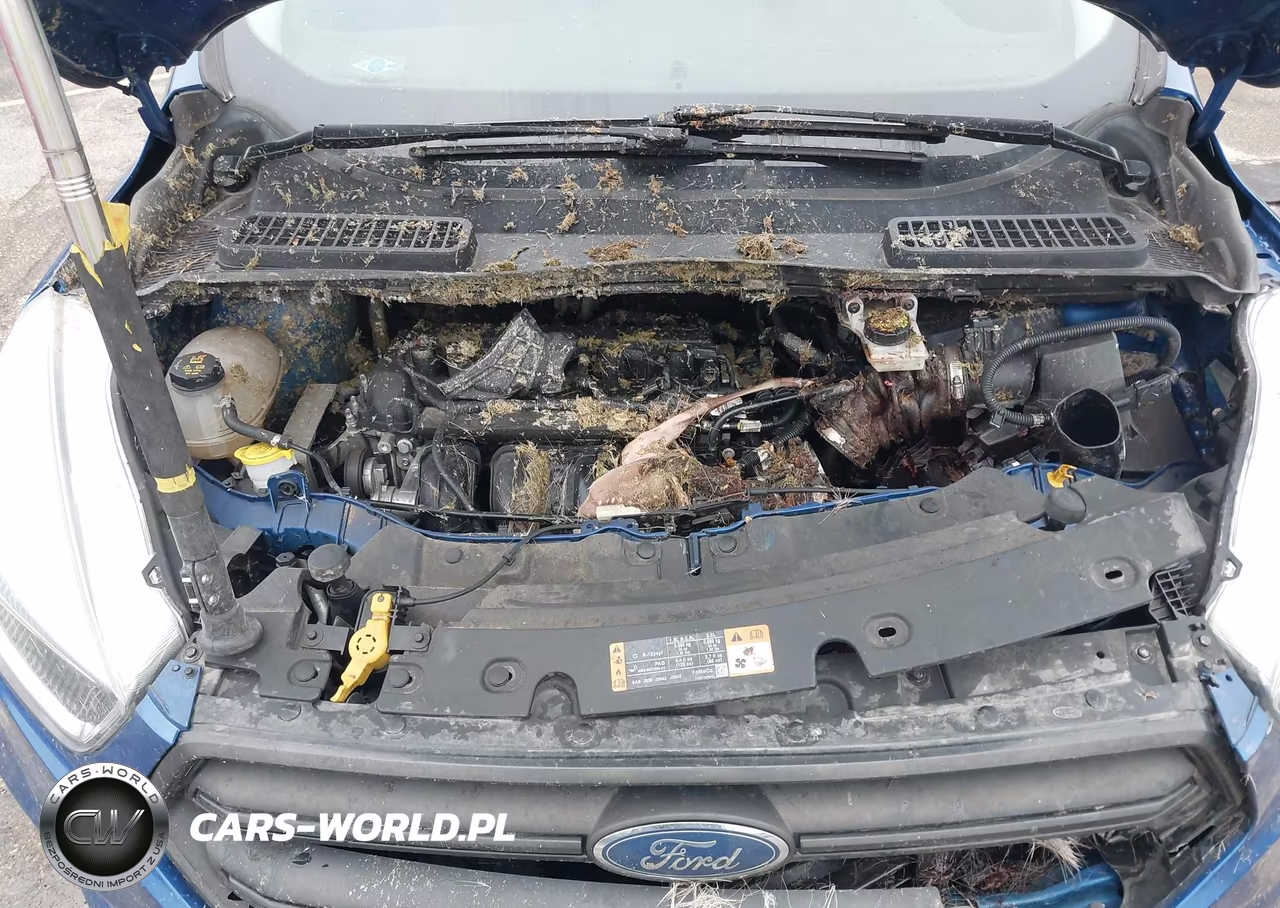 2017 Ford Escape S VIN:1FMCU0F70HUB13193 - 10