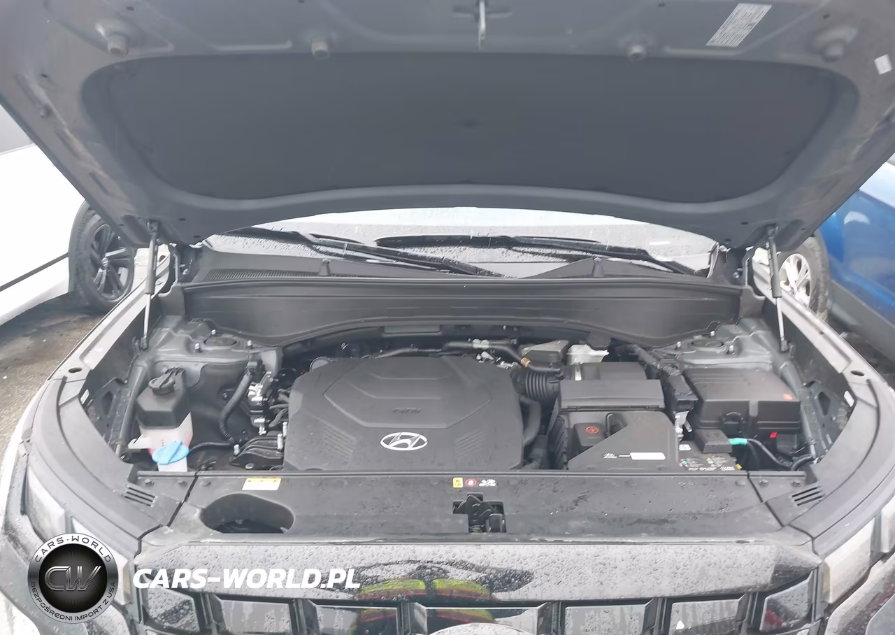 2025 Hyundai Palisade Xrt VIN:KM8R3DGE0SU935050 - 10