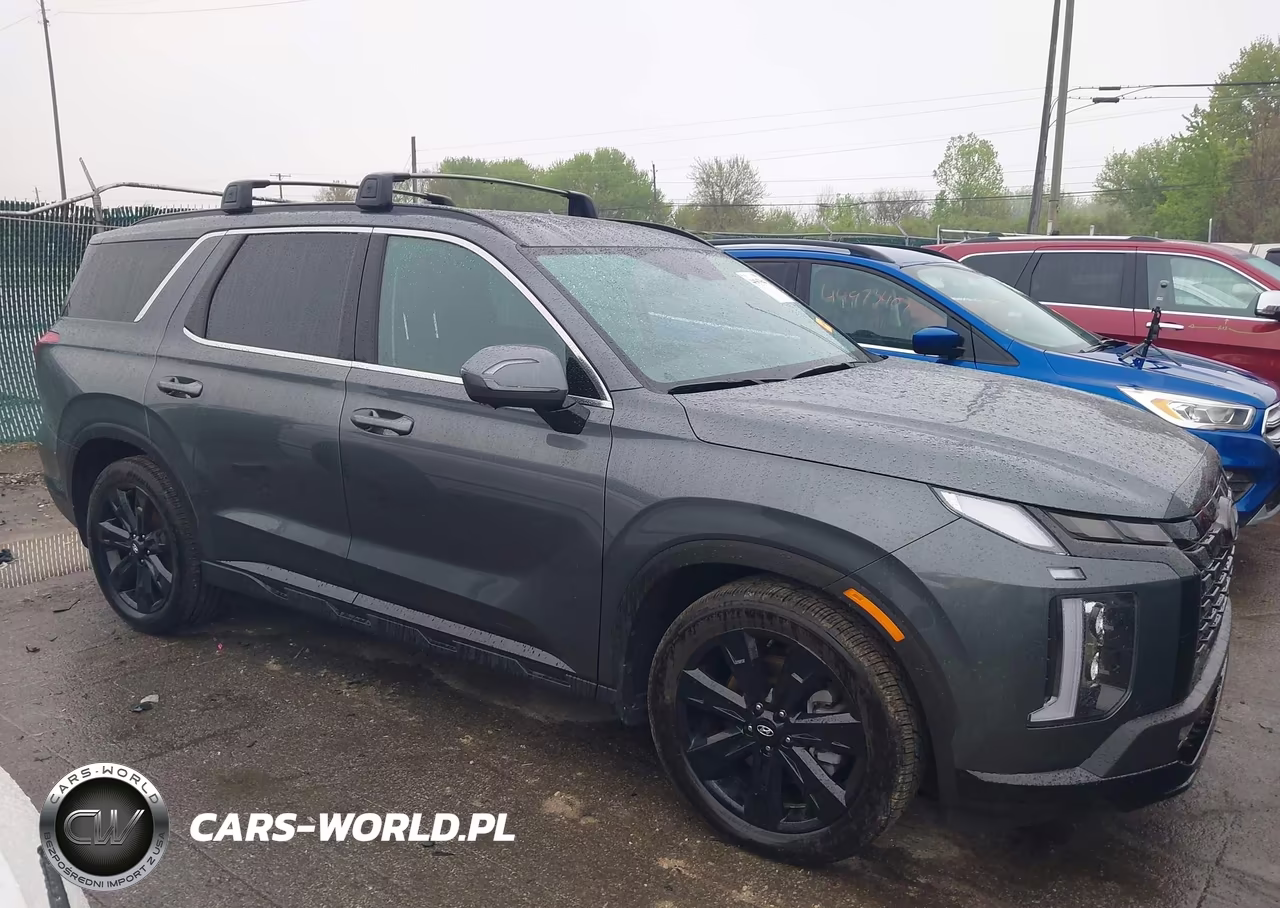 2025 Hyundai Palisade Xrt VIN:KM8R3DGE0SU935050 - 13