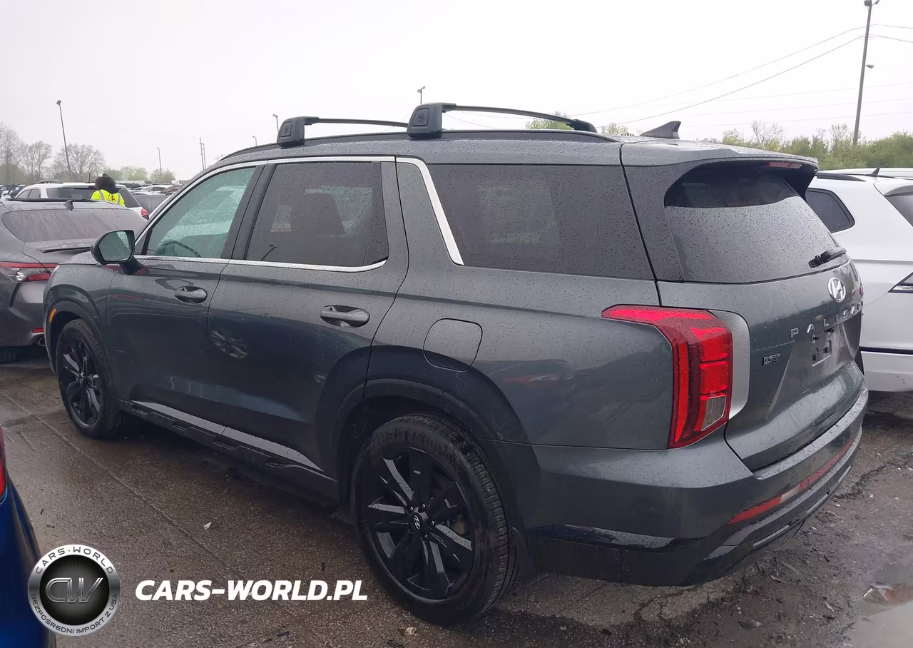 2025 Hyundai Palisade Xrt VIN:KM8R3DGE0SU935050 - 14