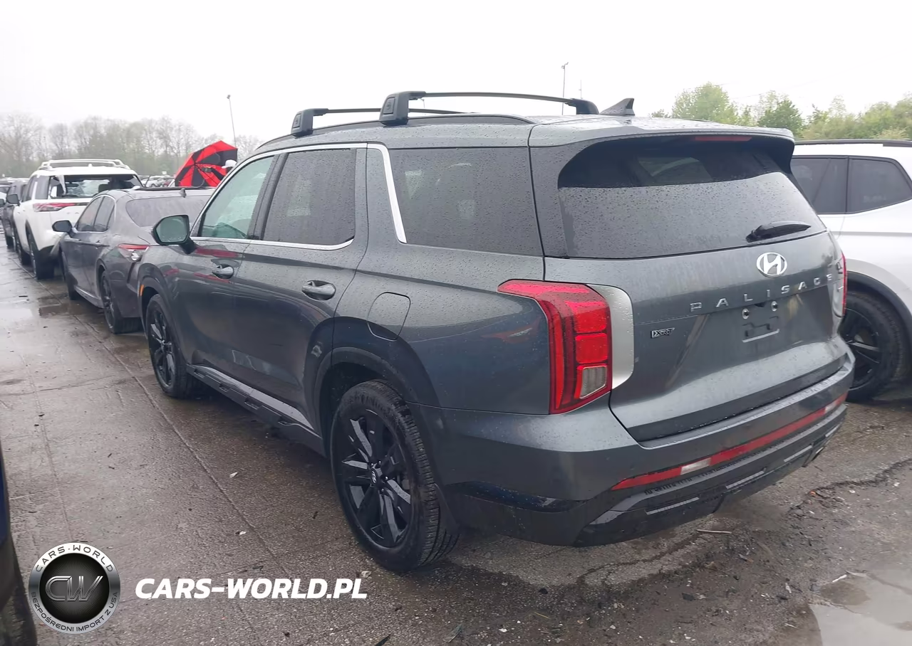 2025 Hyundai Palisade Xrt VIN:KM8R3DGE0SU935050 - 3