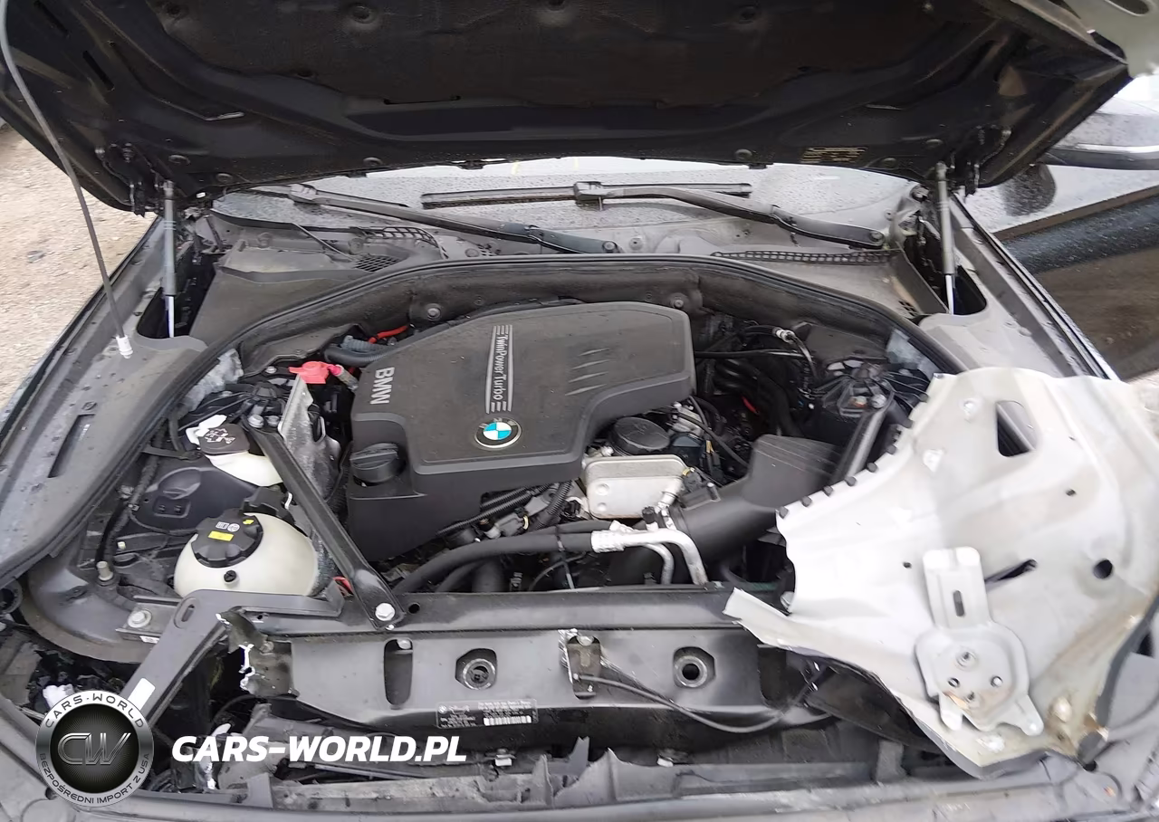 2014 BMW 528I xDrive VIN:WBA5A7C52ED616962 - 10
