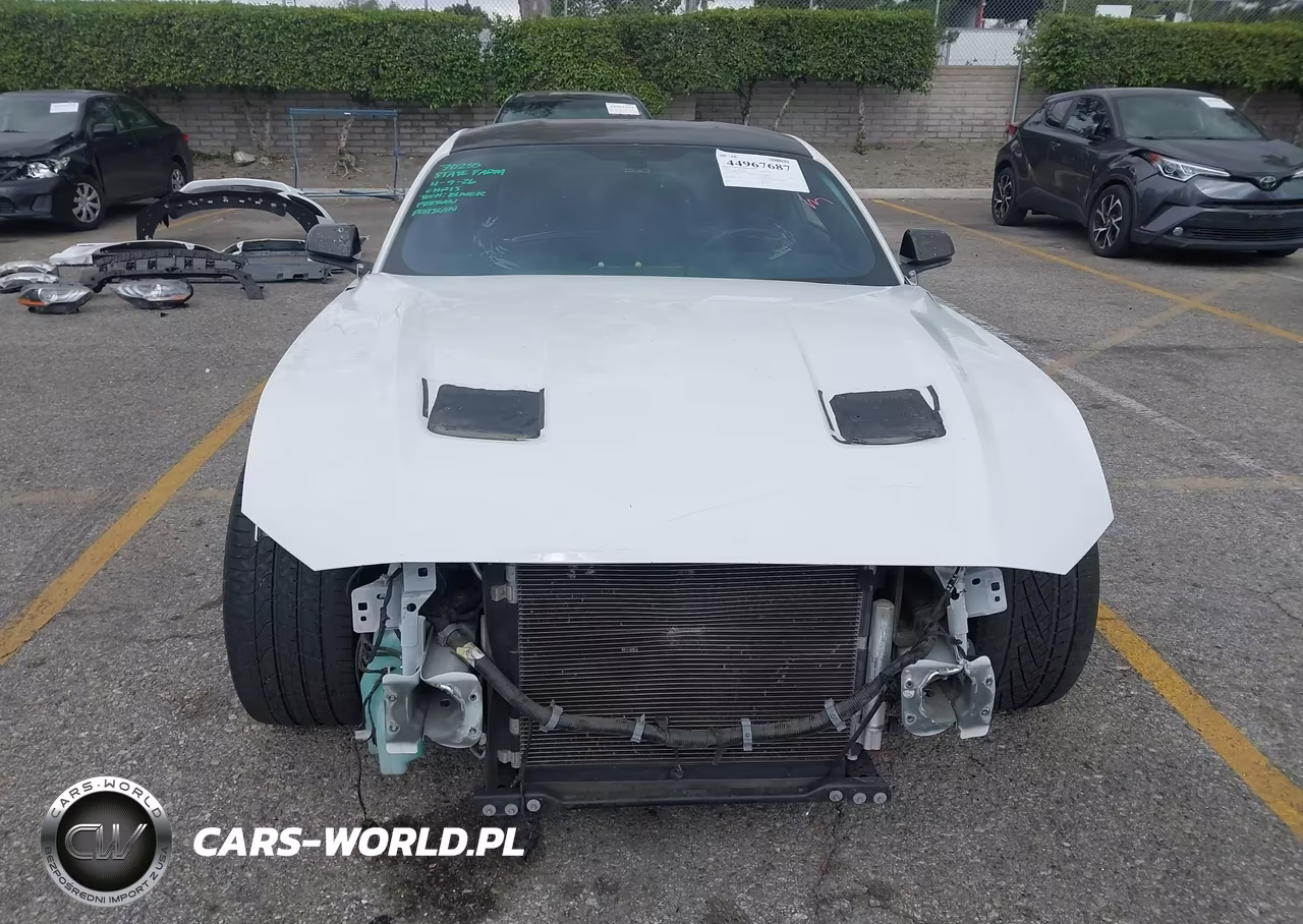 2019 Ford Mustang Gt Premium VIN:1FA6P8CF1K5186387 - 13