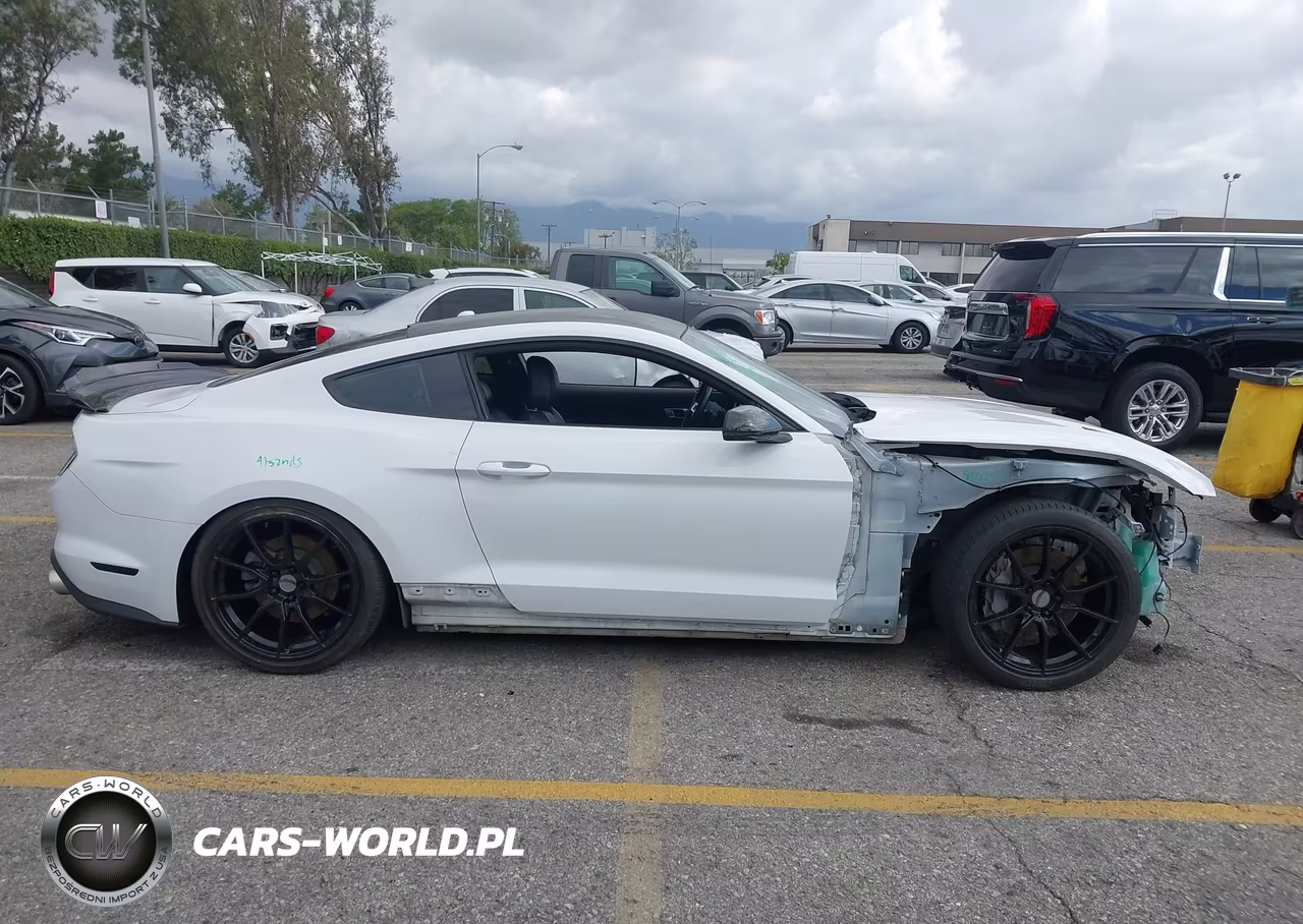2019 Ford Mustang Gt Premium VIN:1FA6P8CF1K5186387 - 14